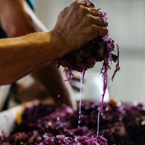 How to Make: Sauerkaut, Kimchi, Pickles